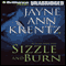 Sizzle and Burn: Arcane Society, Book 3 (Unabridged) audio book by Jayne Ann Krentz