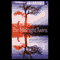 The Midnight Twins (Unabridged) audio book by Jacquelyn Mitchard