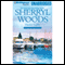 Harbor Lights: A Chesapeake Shores Novel, Book 3 (Unabridged) audio book by Sherryl Woods