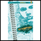 Metamorphosis: Junior Year (Unabridged) audio book by Betsy Franco