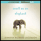 Small as an Elephant (Unabridged) audio book by Jennifer Richard Jacobson