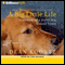 A Big Little Life: A Memoir of a Joyful Dog Named Trixie audio book by Dean Koontz