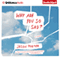 Why Are You So Sad?: A Novel (Unabridged)