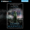 The Path of the Storm: The Evermen Saga, Book 3 (Unabridged) audio book by James Maxwell