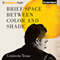 Brief Space Between Color and Shade (Unabridged) audio book by Cristovo Tezza, Alan R. Clarke (translator)