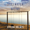 Stillwater Rising (Unabridged) audio book by Steena Holmes