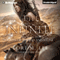 The Infinite: Gates of Thread and Stone, Book 2 (Unabridged)