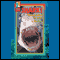 Shark!: The Truth Behind the Terror