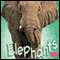 Elephants