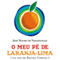 O Meu P de Laranja-lima [My Orange-Lime Foot] (Unabridged) audio book by Jos Mauro de Vasconcelos