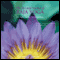 The Art & Science of Raja Yoga: Pathways to God audio book by Swami Kriyananda