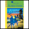 El caballero de la armadura oxidada [The Knight in Rusty Armour] audio book by Robert Fisher