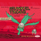 Der kleinste Riese der Welt und der groe Drachenflug (Munkel Trogg 3) audio book by Janet Foxley