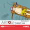 Anton taucht ab audio book by Milena Baisch