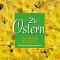 Zu Ostern. Die Groe HrBibel audio book by div.