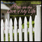 You Are the Love of My Life (Unabridged) audio book by Susan Richards Shreve