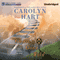 Ghost Gone Wild: A Bailey Ruth Ghost Novel (Unabridged) audio book by Carolyn Hart