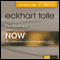 The Doorway into Now audio book by Eckhart Tolle