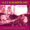 Alice im Wunderland audio book by Lewis Carroll