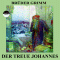 Der treue Johannes audio book by Brder Grimm