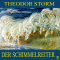 Der Schimmelreiter audio book by Theodor Storm