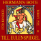Till Eulenspiegel fr Kinder audio book by Hermann Bote