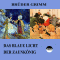 Das blaue Licht / Der Zaunknig audio book by Brder Grimm