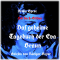 Das geheime Tagebuch der Eva Braun audio book by Armin Spree