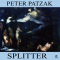 Splitter audio book by Peter Patzak