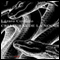 Criaturas de la noche [Creatures of the Night] (Unabridged) audio book by Lzaro Covadlo