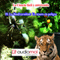 Biodiversidad y cartografia (Unabridged) audio book by Juan Romay