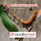 Los insectos (Unabridged)