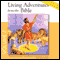 The Fiery Furnace audio book by Allan H. Kelly