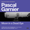 Moon in a Dead Eye (Unabridged) audio book by Pascal Garnier