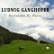 Hochwrden, Hr. Pfarrer audio book by Ludwig Ganghofer