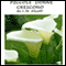 Piccole donne crescono [Little Women] audio book by Luisa May Alcott