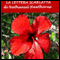 La lettera scarlatta [The Scarlet Letter] audio book by Nathaniel Hawthorne