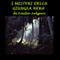 I misteri della giungla nera [The Mysteries of the Black Jungle] (Unabridged) audio book by Emilio Salgari