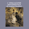 L'educazione sentimentale (Unabridged) audio book by Gustave Flaubert