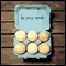 Eggs (Unabridged) audio book by Jerry Spinelli