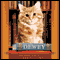 Dewey: The Small-Town Library Cat Who Touched the World audio book by Vicky Myron, Bret Witter