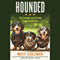 Hounded: The Lowdown on Life from Three Dachshunds (Unabridged) audio book by Matt Ziselman