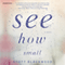 See How Small: A Novel (Unabridged) audio book by Scott Blackwood