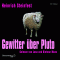 Gewitter ber Pluto audio book by Heinrich Steinfest