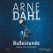 Buestunde audio book by Arne Dahl