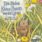Kleine Hasen werden gro audio book by Tilde Michels