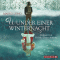 Wunder einer Winternacht. Die Weihnachtsgeschichte audio book by Marko Leino