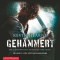 Gehmmert (Die Chronik des Eisernen Druiden 3) audio book by Kevin Hearne