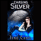 Chasing Silver (Unabridged) audio book by Jamie Craig