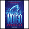 Indigo Awakening: The Hunted, Book 1 (Unabridged) audio book by Jordan Dane